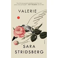 Valerie: Or, the Faculty of Dreams: A Novel