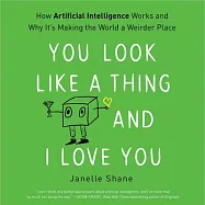 You Look Like a Thing and I Love You: How Artificial Intelligence Works and Why It’s Making the World a Weirder Place