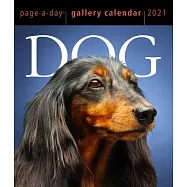 2021 Dog Page-A-Day Gallery Calendar