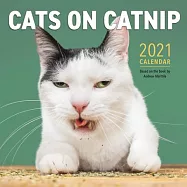 2021 Cats on Catnip Wall Calendar