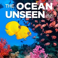 2021 Ocean Unseen Wall Calendar