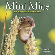 2021 Mini Mice Mini Wall Calendar