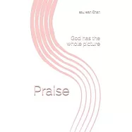 Praise: God has the whole picture