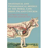 Anatomical and Physiological Models of the Horse, Cow, Sheep, Pig and Chicken - Colored to Nature - With Explanatory
