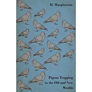 Pigeon Trapping in the Old and New Worlds