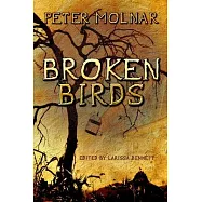 Broken Birds