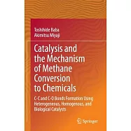 Catalysis and the Mechanism of Methane Conversion to Chemicals: C-C and C-O Bonds Formation Using Heterogeneous