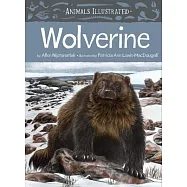 Animals Illustrated: Wolverine