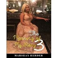 The Meaning of My Story 3: The Poetic Bible