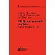 Elliptic and Parabolic Problems: Pont-A-Mousson 1994, Volume 325