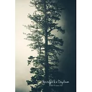 Nostalgia & a Daydream