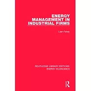 Energy Management in Industrial Firms