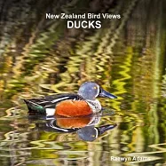 New Zealand bird views: ducks