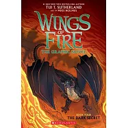 The Dark Secret (Wings of Fire Graphic Novel #4)