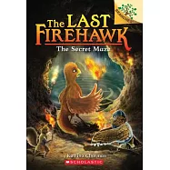 The Secret Maze: A Branches Book (the Last Firehawk #10), Volume 10