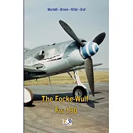The Focke-Wulf FW 190