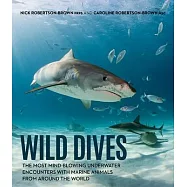 Wild Dives: The Most Mind-Blowing Underwater Encounters with Marine Animals from Around the World
