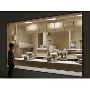 Roxy Paine: The Dioramas