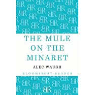 The Mule on the Minaret: A Novel about the Middle East