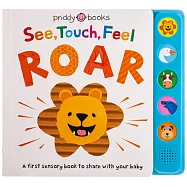 See, Touch, Feel: Roar: A First Sensory Book