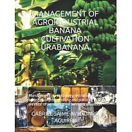  programming and planning in the crea