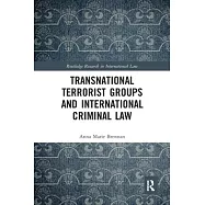 Transnational Terrorist Groups and International Criminal Law