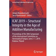  International Committee on Aeronautica