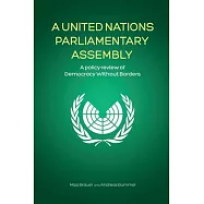 A United Nations Parliamentary Assembly: A policy review of Democracy Without Borders