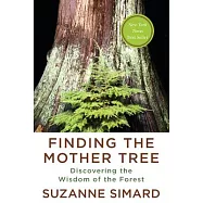 Finding the Mother Tree: Discovering How the Forest Is Wired for Intelligence and Healing