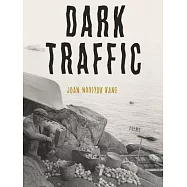 Dark Traffic: Poems