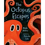 The Octopus Escapes
