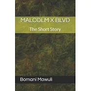 Malcolm X Blvd: The Short Story