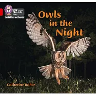Owls in the Night: Band 02b/Red B