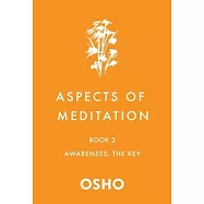 Aspects of Meditation Book 3: Awareness, the Key