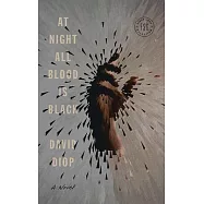 At Night All Blood Is Black