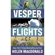 Vesper Flights