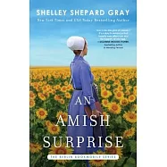 An Amish Surprise, Volume 2