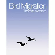 Bird Migration