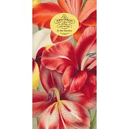 John Derian Paper Goods: In the Garden 80-Page Notepad