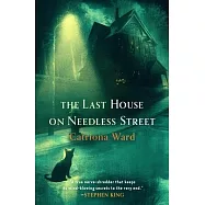 The Last House on Needless Street