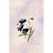 The Antarctica of Love