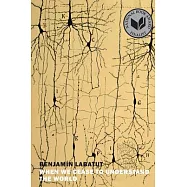 When We Cease to Understand the World