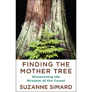 Finding the Mother Tree: Discovering the Wisdom of the Forest