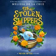 Never After: The Stolen Slipper