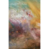 The Lost Shadow of Things