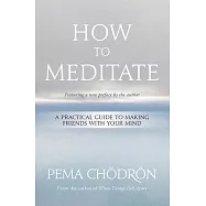 How to Meditate: A Practical Guide to Making Friends with Your Mind