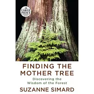 Finding the Mother Tree: Discovering the Wisdom of the Forest