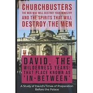 David: The Wilderness Years (That Place Known as "In-Between") - A Study of David&rsquo;&rsquo;s Times of Preparation Before the