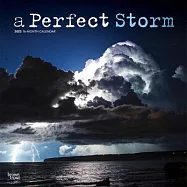 A Perfect Storm 2022 Square