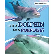 Is It a Dolphin or a Porpoise?